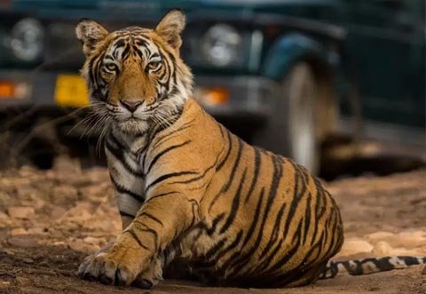 Rajasthan Wildlife & Nature Escape